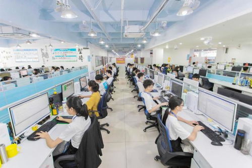 湛藍科技朝陽服務寶 以技術創新驅動，樹立店鋪代運營行業新標桿